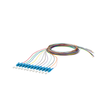 Kuncir serat optik （12 serat）