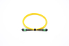 MPO/MTP Fiber Optic Parch Cord