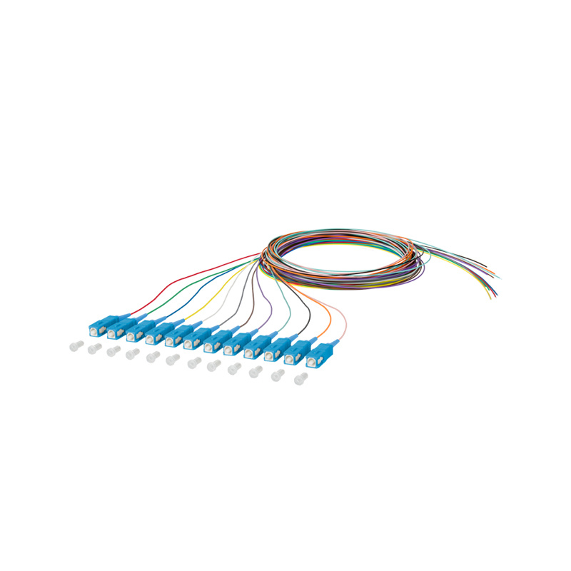 Kuncir serat optik （12 serat）