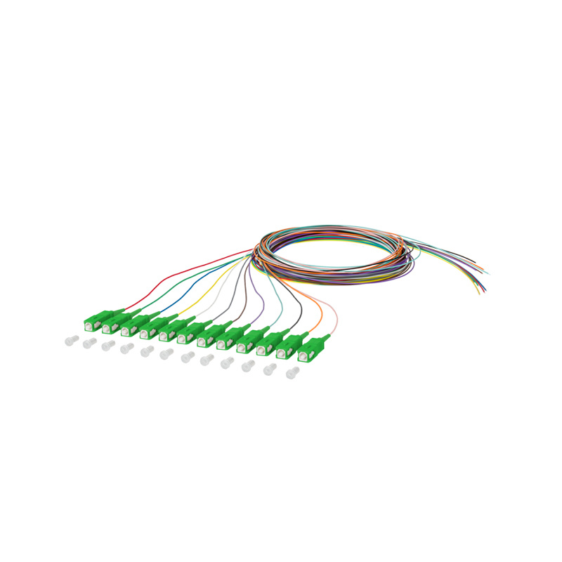 Kuncir serat optik （12 serat）